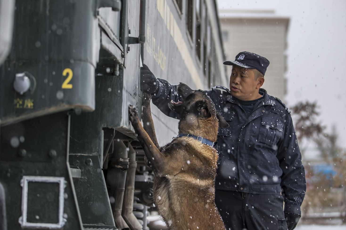 11月18日上午,乌鲁木齐铁路公安局乌鲁木齐公安处警犬大队训导员利用